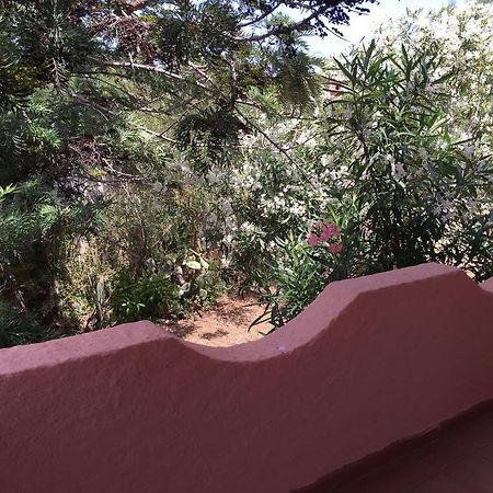 Il Fenicottero Rosa Villa Olbia Buitenkant foto