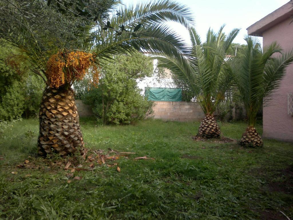 Il Fenicottero Rosa Villa Olbia Buitenkant foto