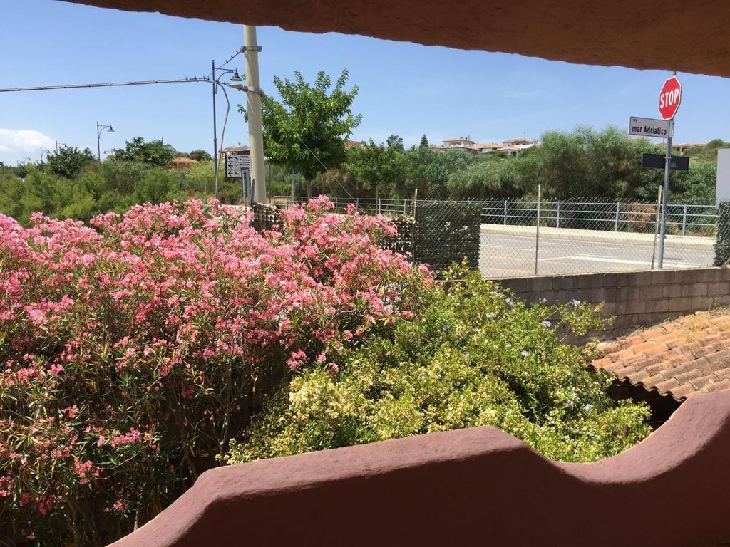 Il Fenicottero Rosa Villa Olbia Buitenkant foto