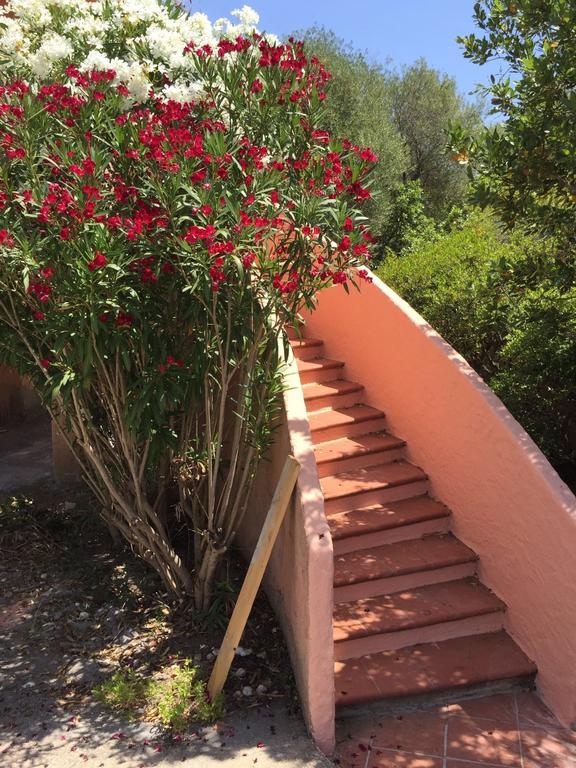 Il Fenicottero Rosa Villa Olbia Buitenkant foto