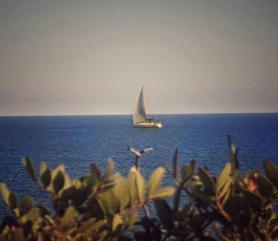 Il Fenicottero Rosa Villa Olbia Buitenkant foto