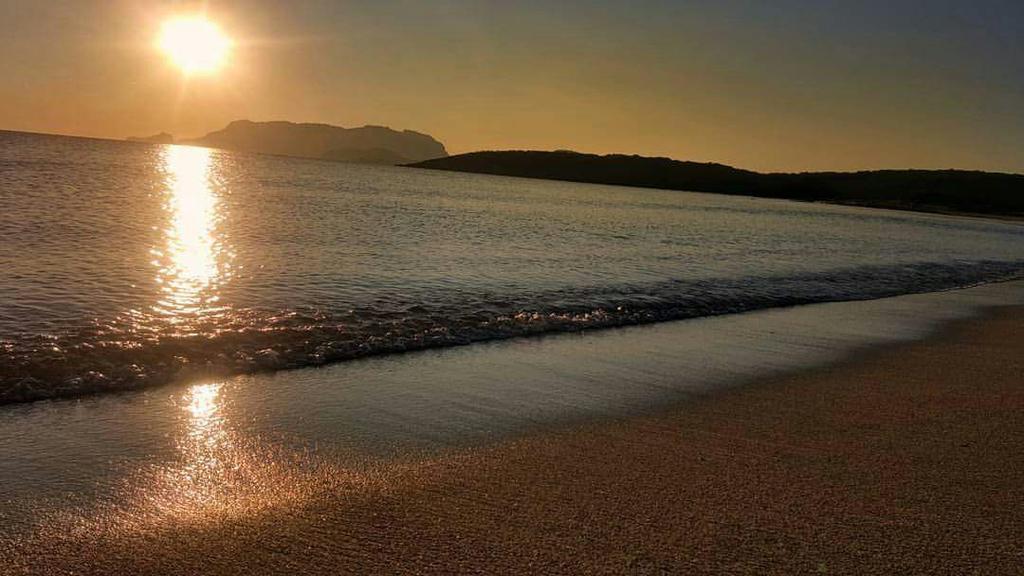 Il Fenicottero Rosa Villa Olbia Buitenkant foto